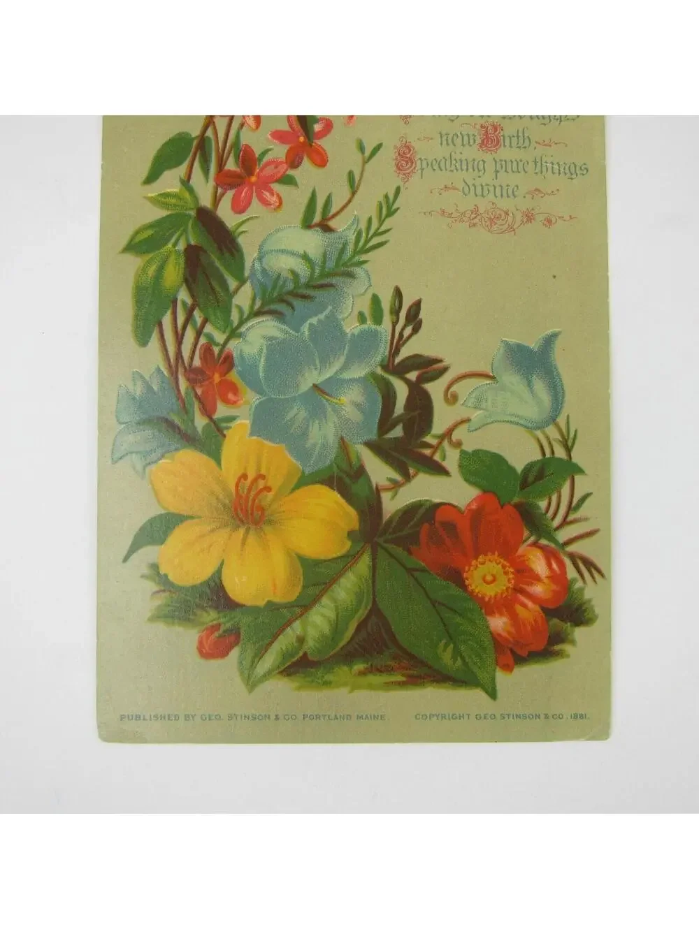 Victorian Greeting Card LARGE Flowers Red Yellow Blue Pink Antique 1881